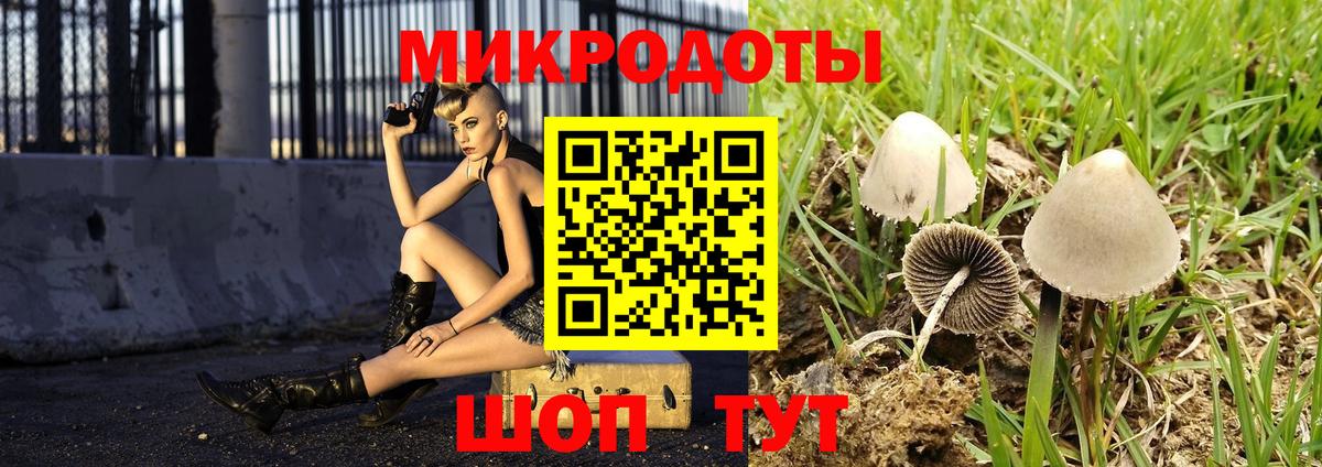 Псилоцибиновые грибы GOLDEN TEACHER Канаш